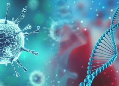 مهمانی ها دلیل تغییر الگوی انتقال کرونا به شکل ابتلای خانوادگی