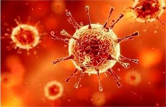 موج چهارم کرونا احتمالا انگلیسی است