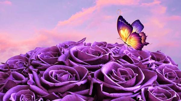 فال ابجد امروز ، 18 آبان ماه