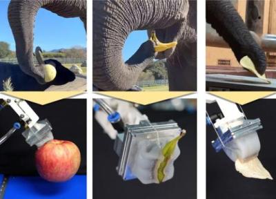 طراحی نخستین دست رباتیکی با الهام از خرطوم فیل